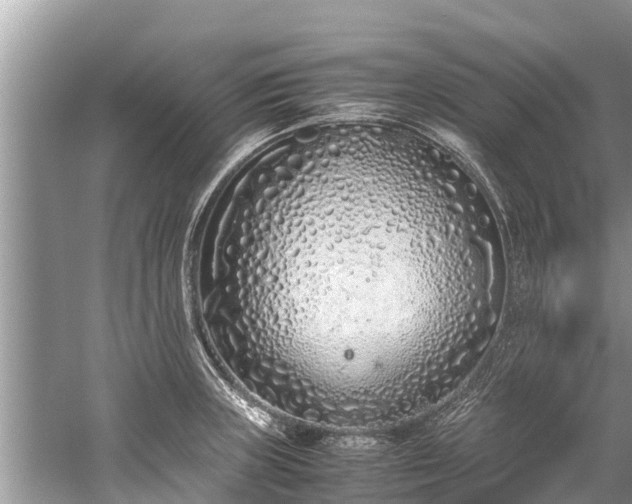 X0000059811235200510241347