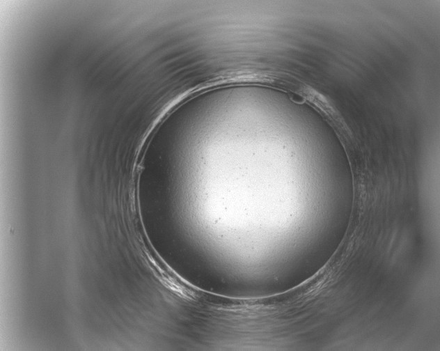 X0000059811236200510241347