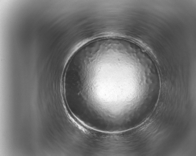 X0000059811239200510241347