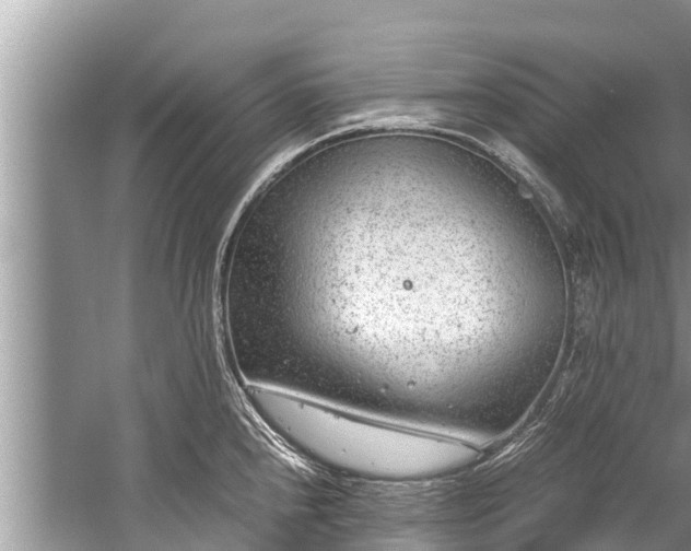 X0000059811240200510241347