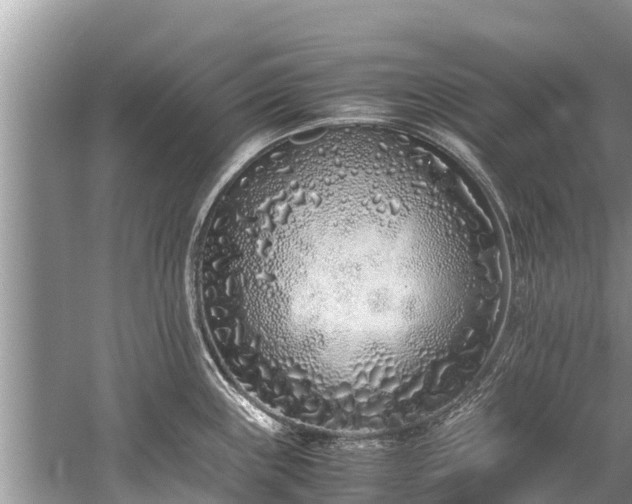 X0000059811243200510241347