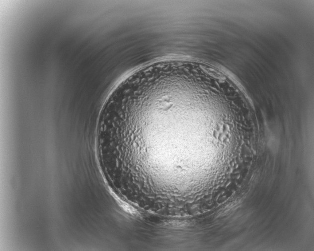 X0000059811245200510241347