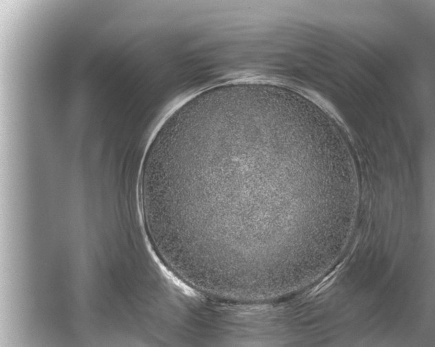 X0000059811247200510241347