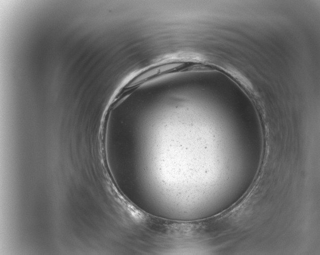 X0000059811248200510241347