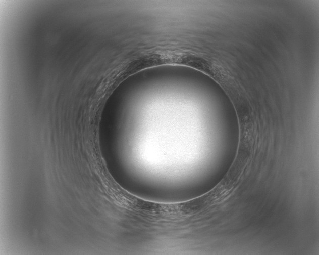 X0000059811249200510241346