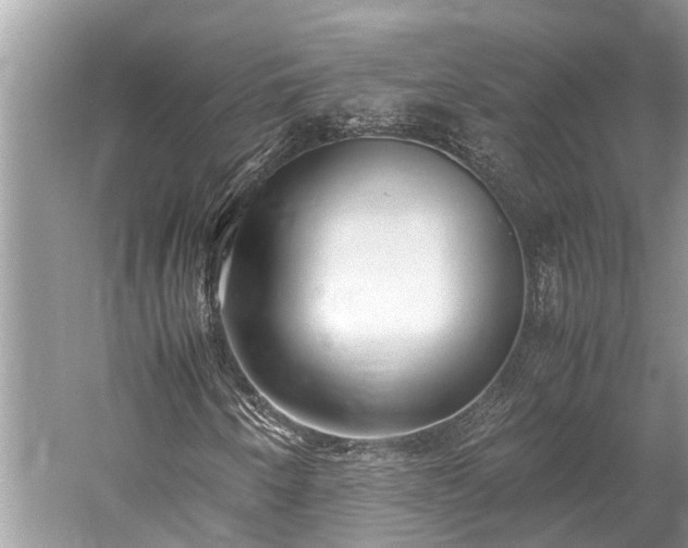 X0000059811250200510241346