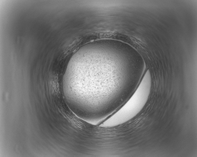 X0000059811252200510241346