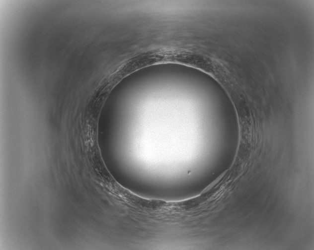 X0000059811253200510241346