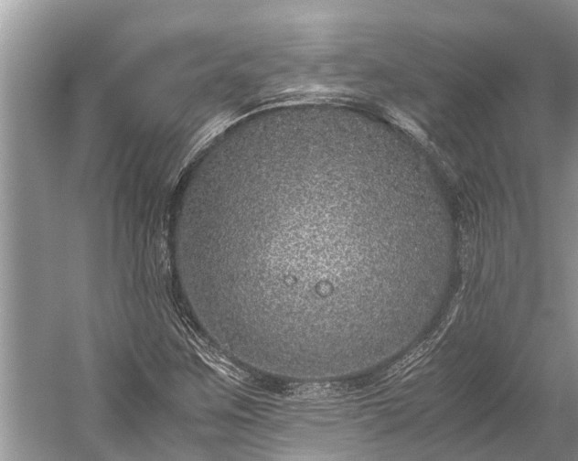 X0000059811259200510241346