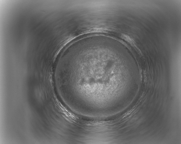 X0000059811260200510241346