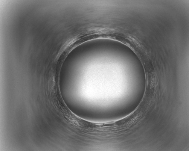 X0000059811261200510241346