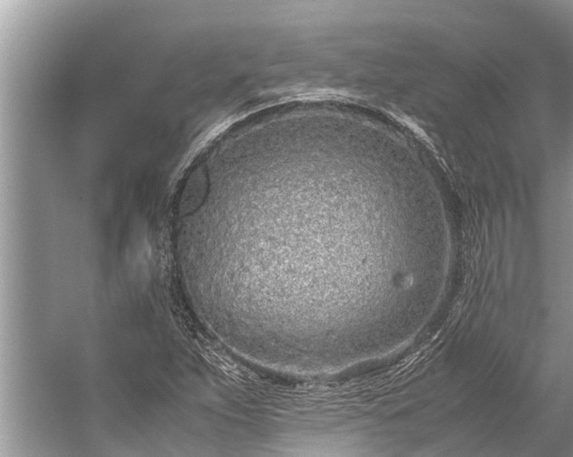 X0000059811263200510241346