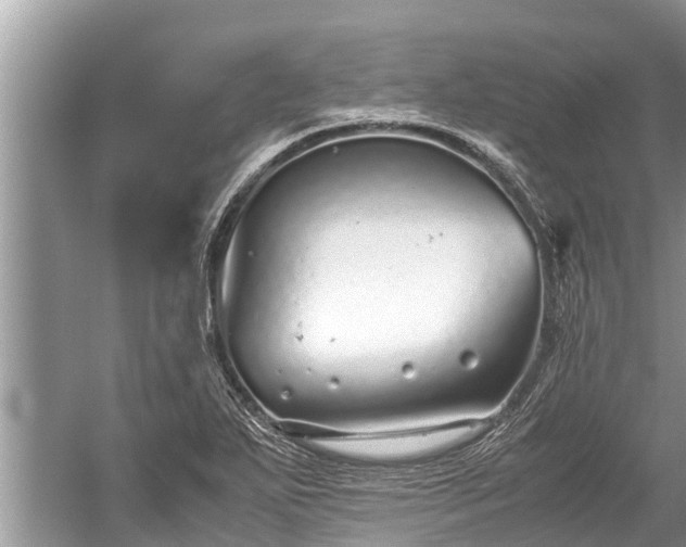 X0000059811271200510241346