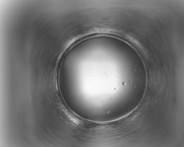 X0000059811272200510241346