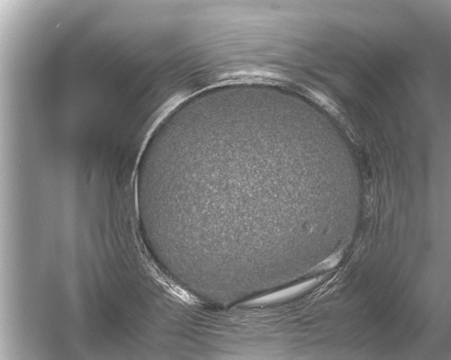 X0000059811275200510241346