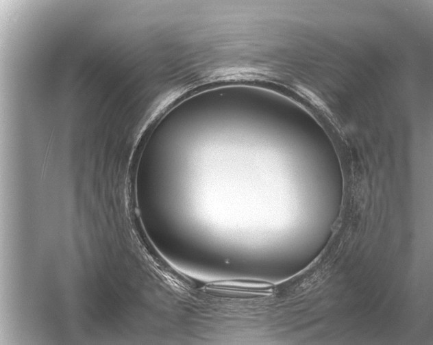 X0000059811277200510241346