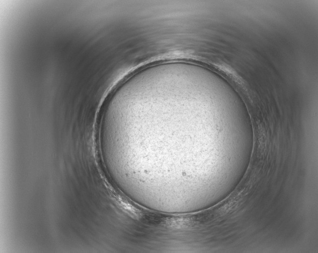 X0000059811278200510241346