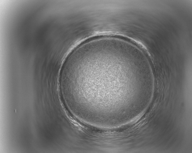 X0000059811279200510241346