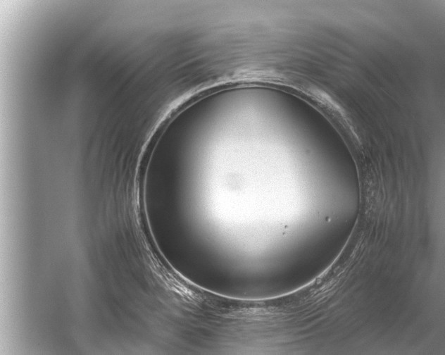 X0000059811280200510241346