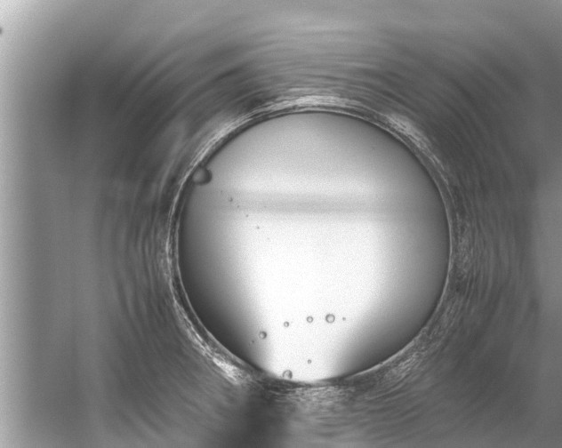 X0000059811282200510241346