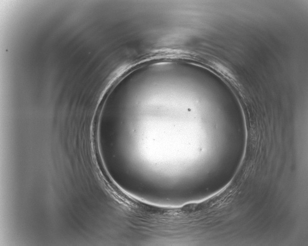 X0000059811283200510241346