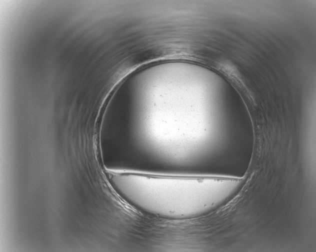 X0000059811284200510241346