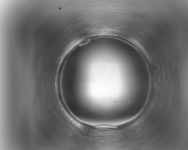 X0000059811285200510241346