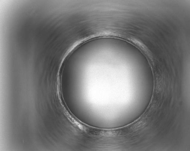 X0000059811286200510241346