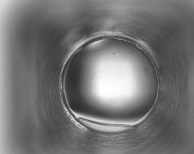 X0000059811287200510241346