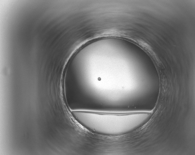 X0000059811288200510241346