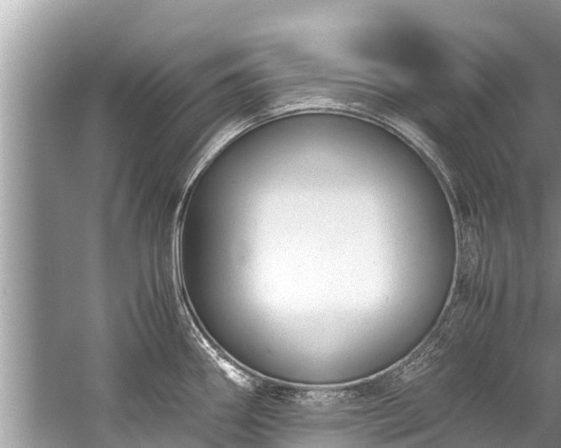 X0000059811290200510241346