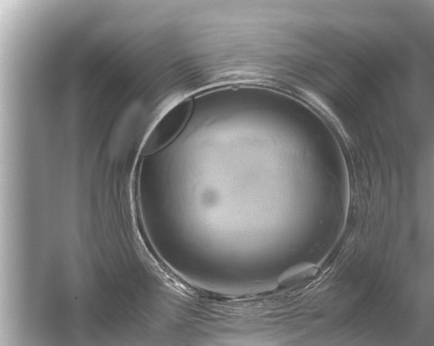 X0000059811291200510241346