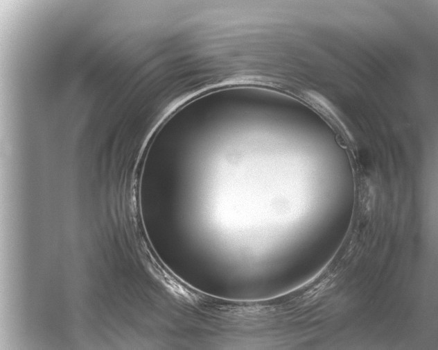 X0000059811292200510241346