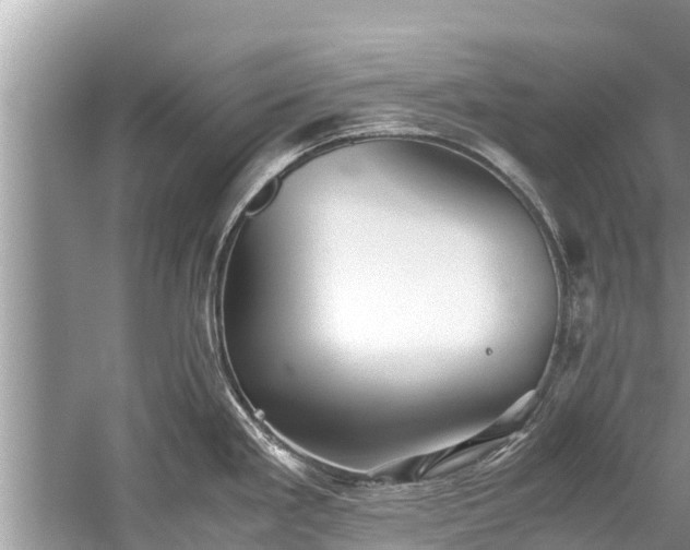 X0000059811293200510241345