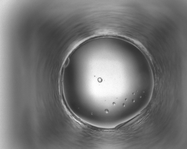 X0000059811295200510241345