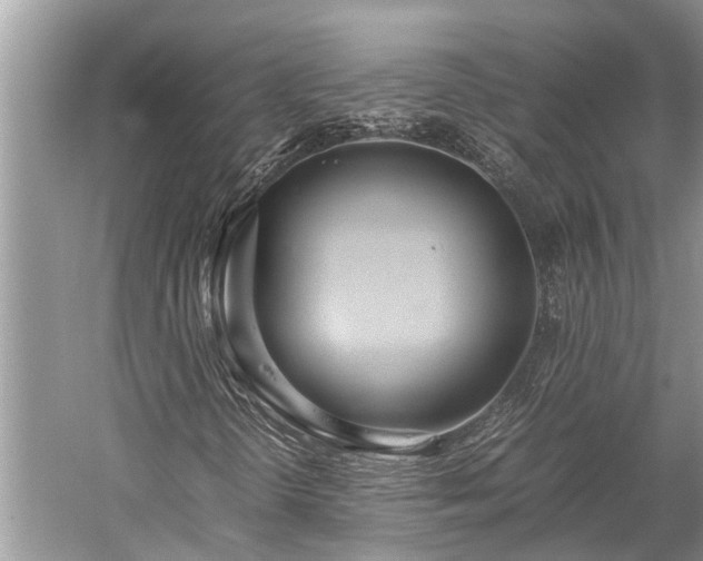 X0000059811298200510241345