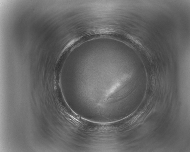 X0000059811306200510241345