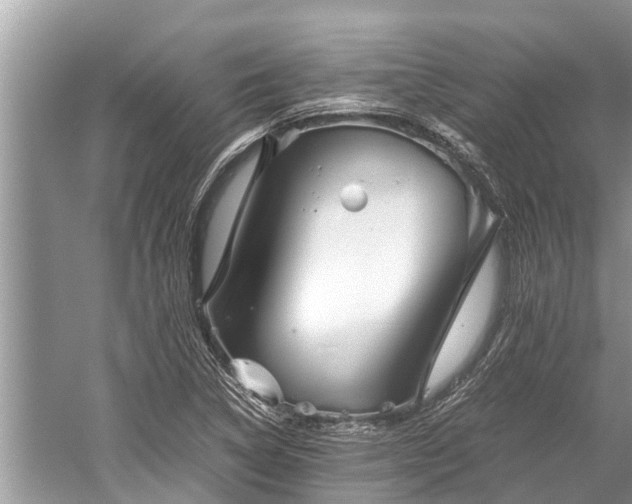 X0000059811314200510241345