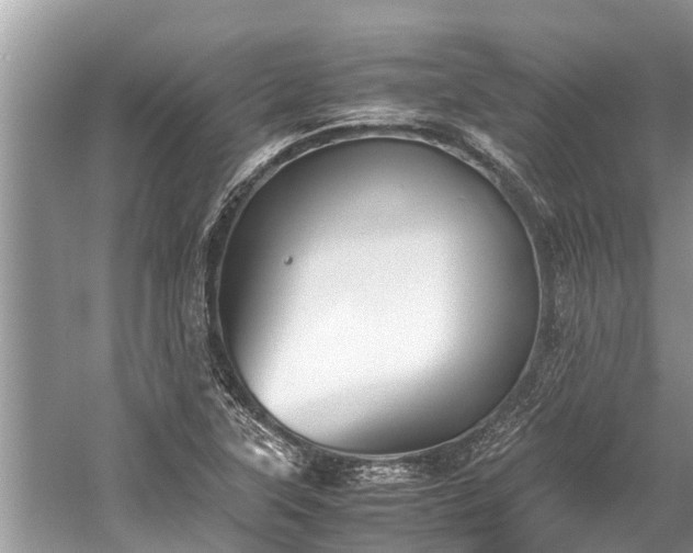 X0000059811315200510241345