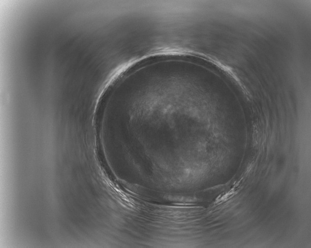 X0000059811319200510241345