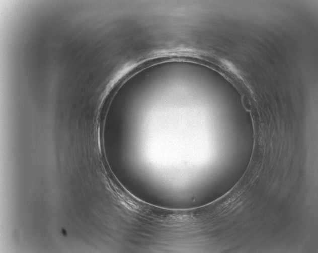 X0000059811320200510241345