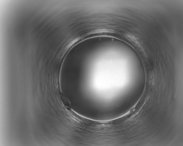 X0000059811321200510241345