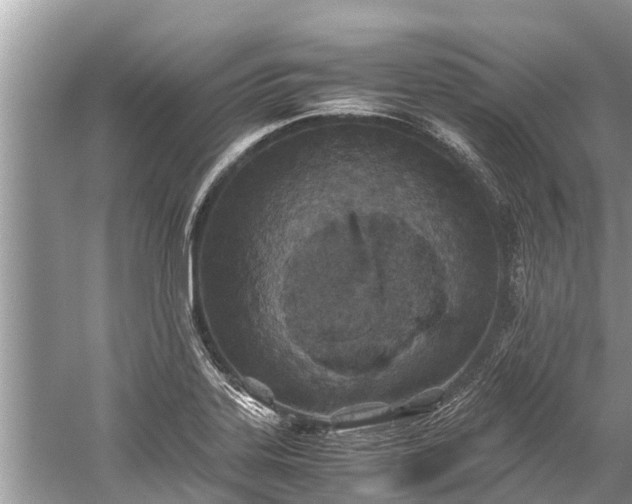 X0000059811323200510241345