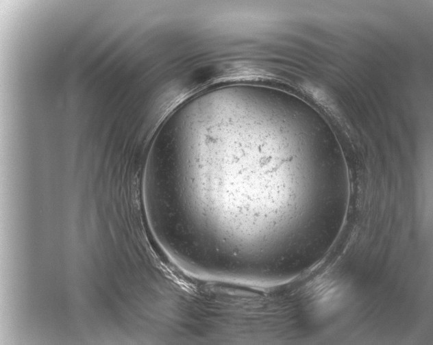 X0000059811329200510241345