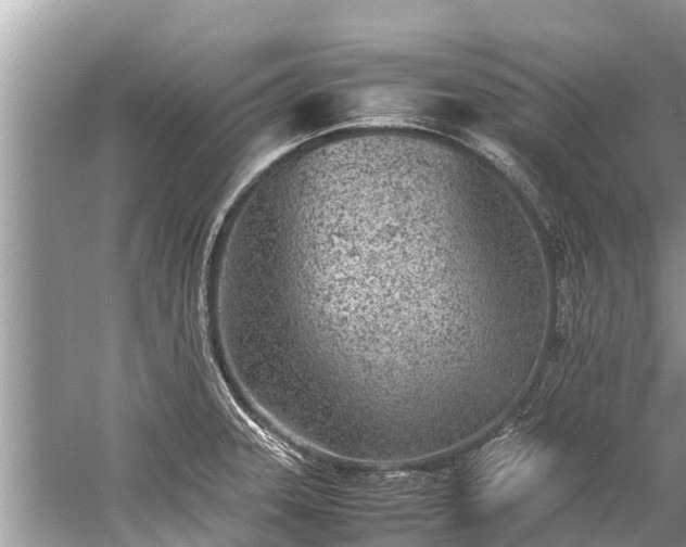 X0000059811331200510241345