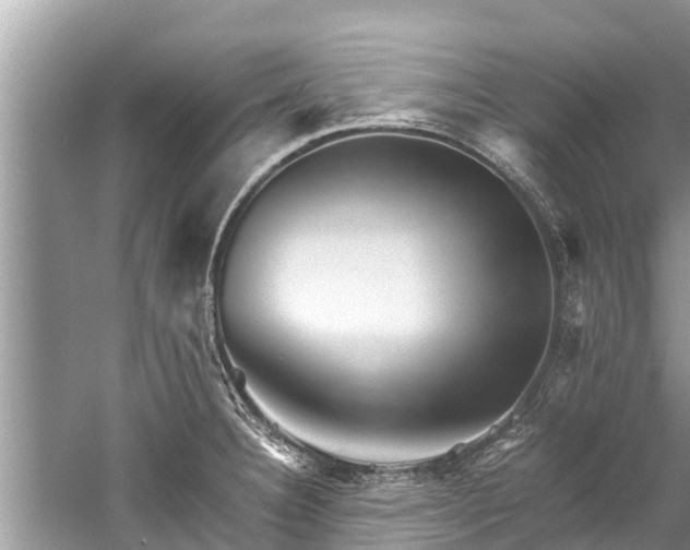 X0000059811332200510241345