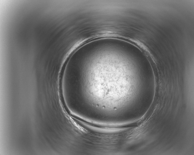 X0000059811333200510241345