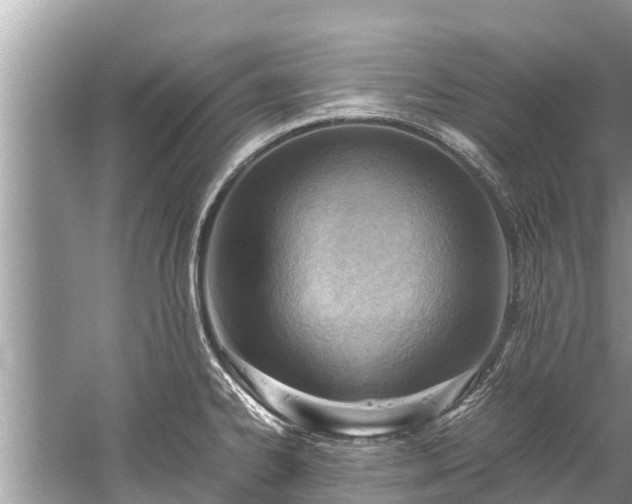 X0000059811334200510241345