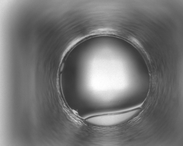 X0000059811336200510241345