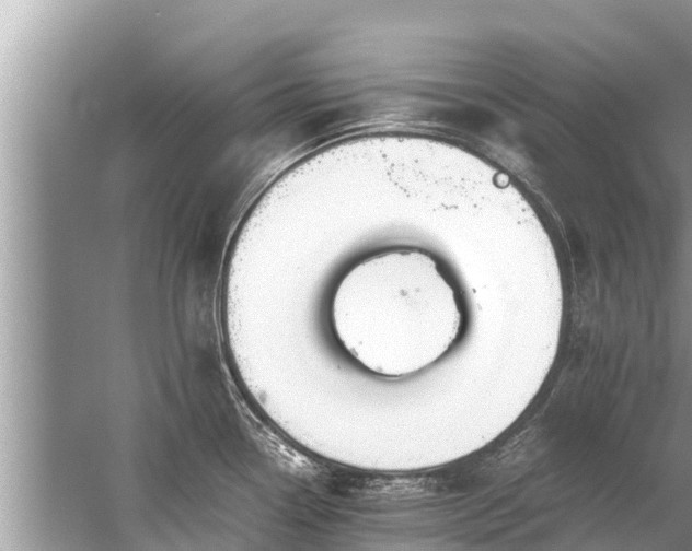 X0000059811338200510241345